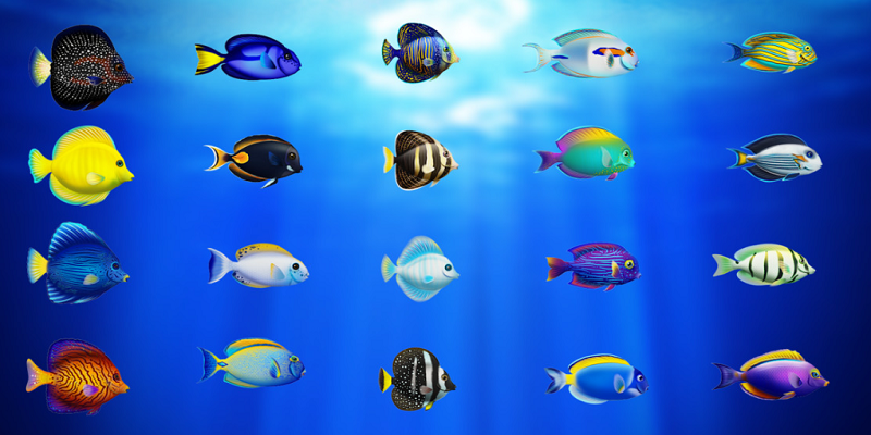 Hệ Số Cá Trong Bắn Cá Đổi Thưởng Và Cách Tính Điểm