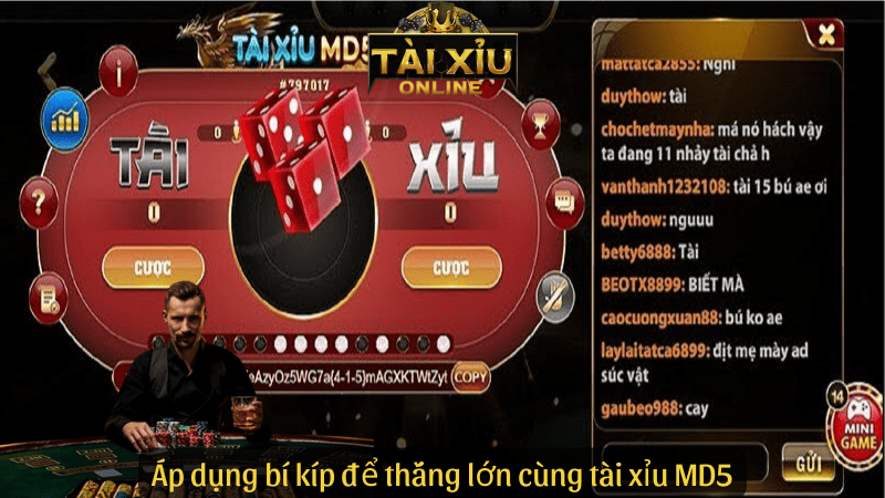 Áp dụng bí kíp để thắng lớn cùng tài xỉu MD5