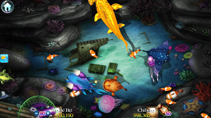 Bắn cá theo chu kỳ, không bắn theo cảm xúc